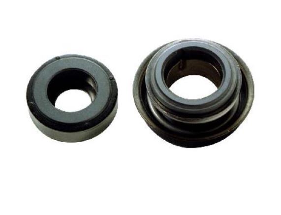 Ace Pumps Seal Kit | BAC-7SC