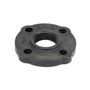 Banjo AF200 - 2" Female Thread ANSI Flange-BANJO-Mid-South Ag. Equipment