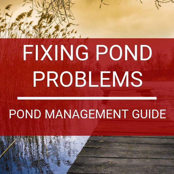 Icon for the blog titled "Fixing Pond Problems: Apond Managment Guide, this is a thumbnail image | Mid-South Ag. Equipment