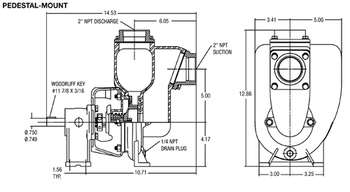 MP Pumps - 2" x 2" Self-Priming Petroleum Pump-Petroleum Pump | shop.MidSouthAg.com