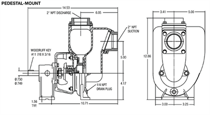 MP Pumps - 2" x 2" Self-Priming Petroleum Pump-Petroleum Pump | shop.MidSouthAg.com