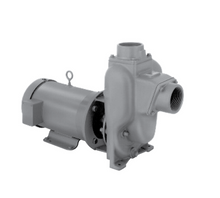 MP Pumps - 2" x 2" Self-Priming Petroleum Pump-Petroleum Pump | shop.MidSouthAg.com