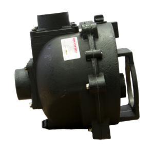 Banjo 333POI - 3" Cast Iron Pump Only with 1" Shaft & 5 Vane Impeller-BANJO-Mid-South Ag. Equipment