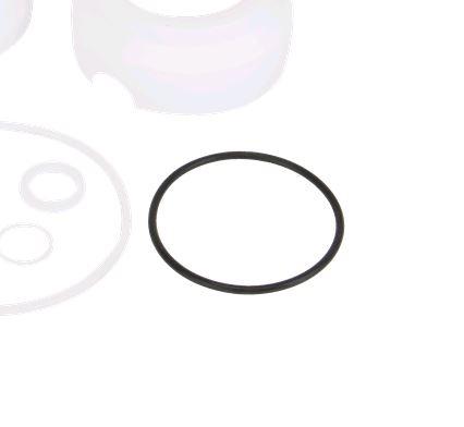 Banjo DM222SS - Repair Kit-Mid-South Ag. Equipment