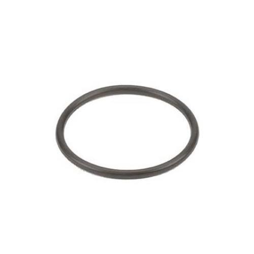 Banjo LS075-G - 1/2" - 3/4" Y Strainer O-Ring-Mid-South Ag. Equipment